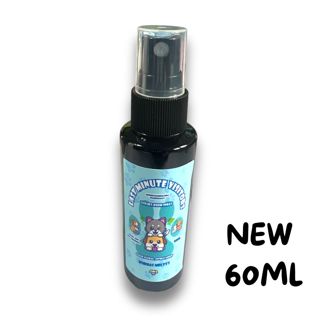 BEST SELLER! Last Minute Visitors Room Spray - Odour Eliminating