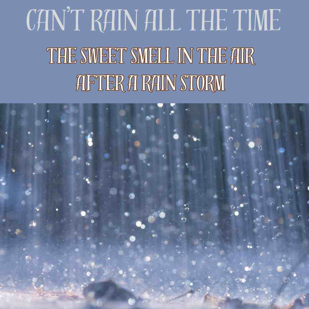 Restocked! Can't Rain All The Time Wax Melt - Bubbas Meltys