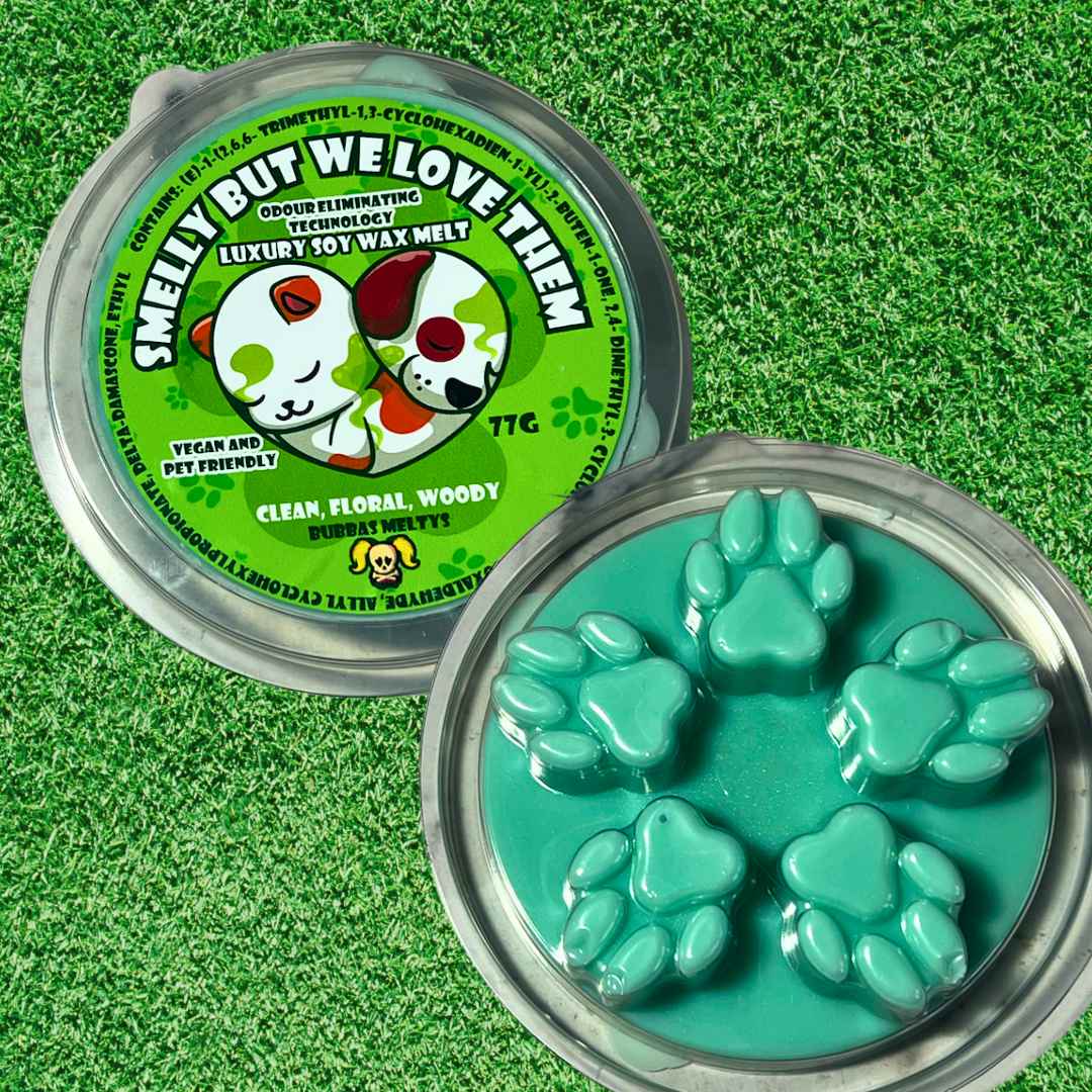 RESTOCKED! Smelly But We Love Them Pet Odour Wax Melt XL - Bubbas Meltys
